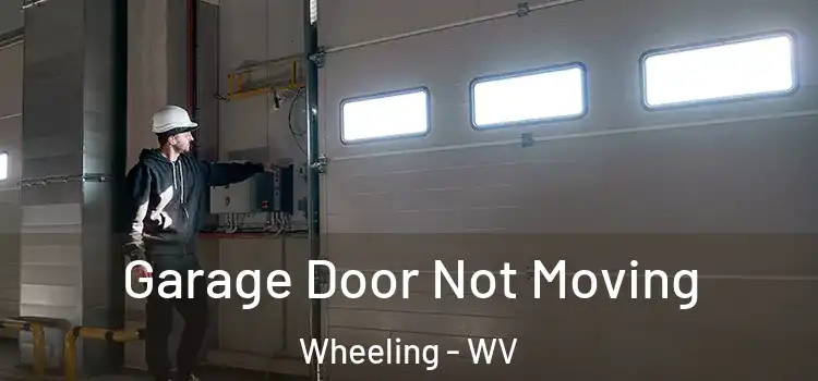  Garage Door Not Moving Wheeling - WV