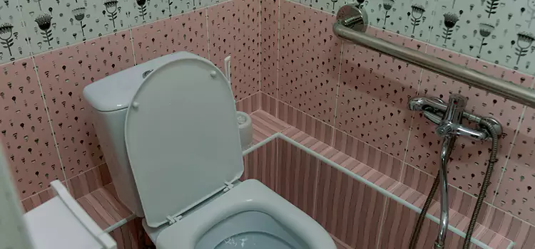 Meeting Diverse Needs With Accessible Restroom Solutions in Wheeling, WV