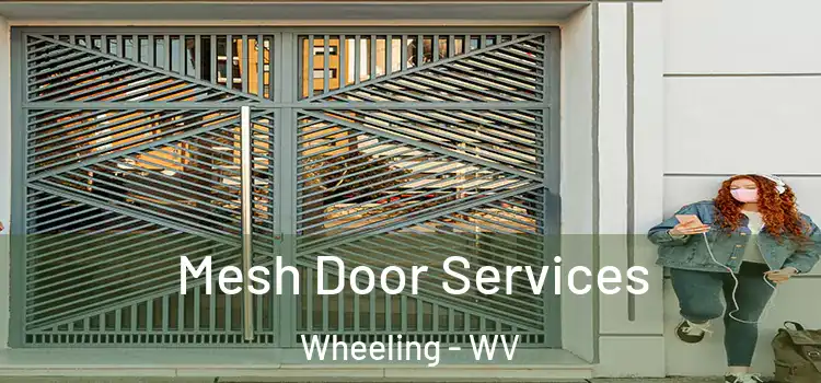 Mesh Door Services Wheeling - WV